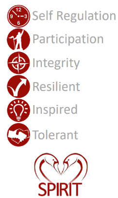 Spirit Values