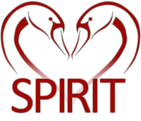 SPIRIT